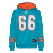 Imagen SUDADERA FANATICS MIAMI DOLPHINS JERSEY HOODIE 013 VERDE 007S-996V-9P-025 HOODIE