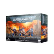 Bladeguard Veterans. Space Marines