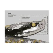 Hoja Bloque Escurçó pirinenc - Vipera aspis | Fauna |