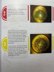 Libro Todos somos científicos 2