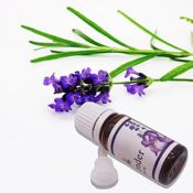  Pack 【1】 Saco térmico de semillas para microondas【1】 Aceite aroma lavanda (30 cm x 18 cm). 