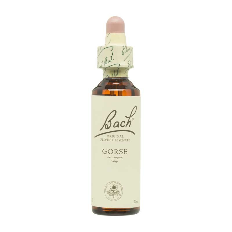 Bach Flor nº 13 Gorse 20ml Bach