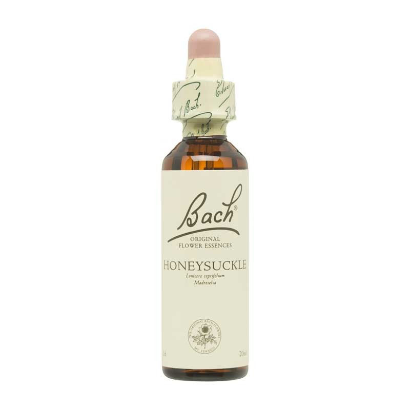 Bach Flor nº 16 Honeysuckle 20ml Bach