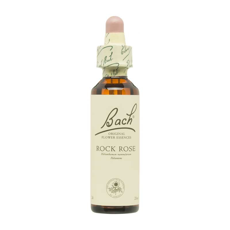 Bach Flor nº 26 Rock Rose 20ml Bach