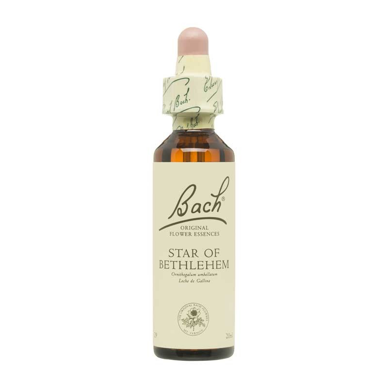 Bach Flor nº 29 Star of Bethlehem 20ml Bach