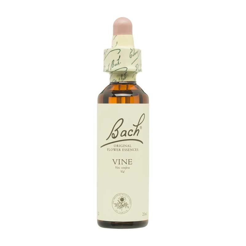 Bach Flor nº 32 Vine 20ml Bach