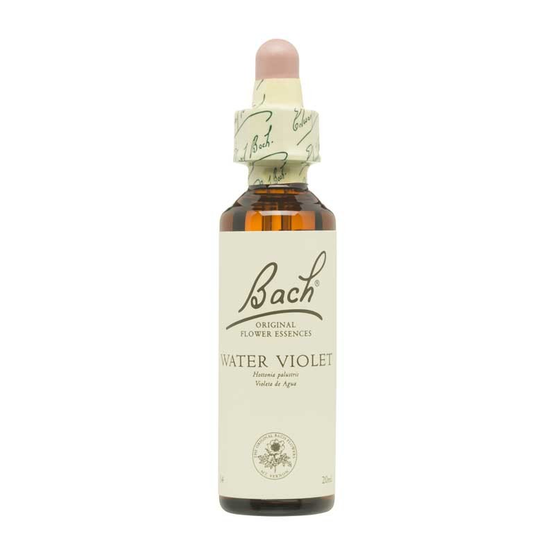 Bach Flor nº 34 Water Violet 20ml Bach