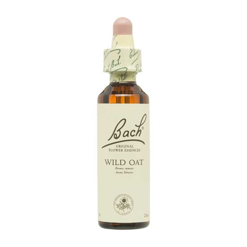 Bach Flor nº 36 Wild Oat 20ml Bach