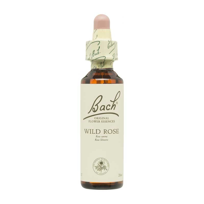 Bach Flor nº 37 Wild Rose 20ml Bach