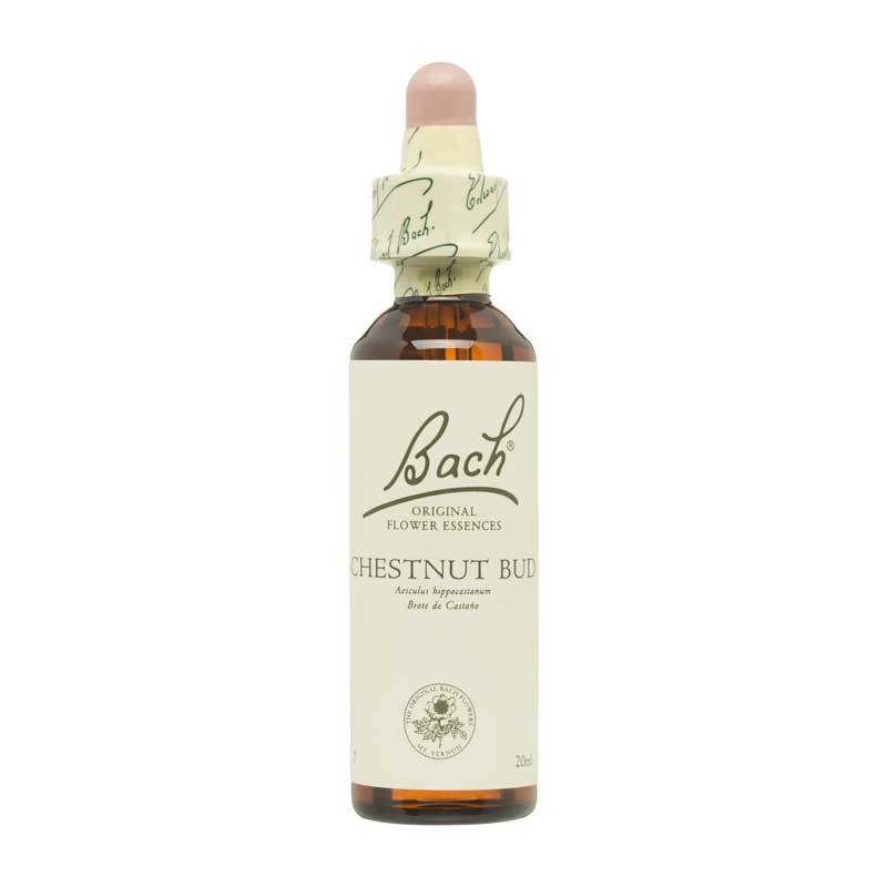 Bach Flor nº 7 Chestnut Bud 20ml Bach