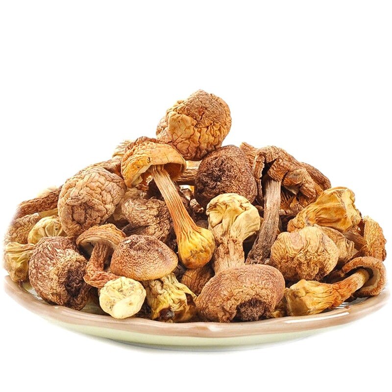 Agaricus blazei deshidratado - Champiñón del Sol