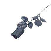 Rosa negra 44cm