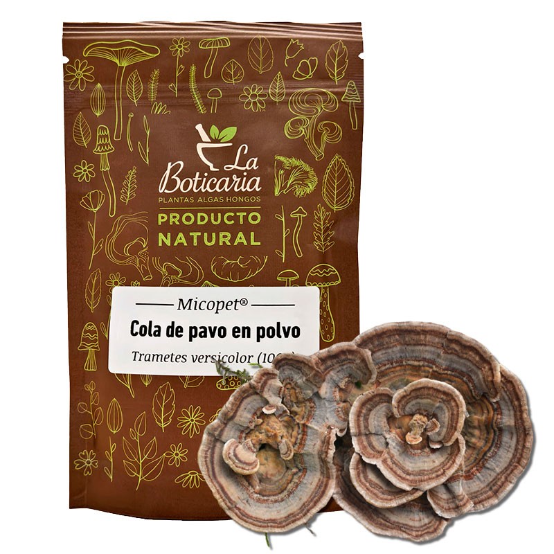 La Casa de las Setas Cola de Pavo en polvo 100 g (Trametes versicolor) MicoPet