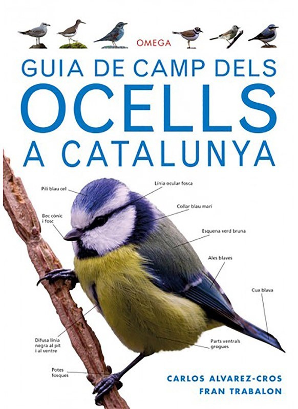 La Casa de las Setas GUIA DE CAMP DELS OCELLS A CATALUNYA Alvarez-Trabalon
