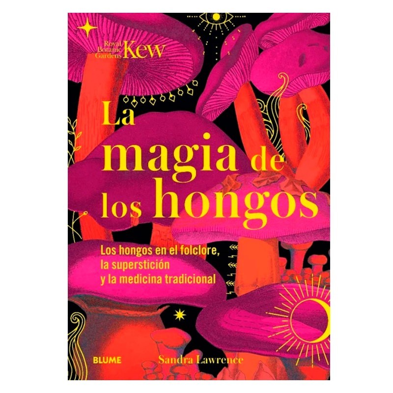 La Casa de las Setas La magia de los hongos
