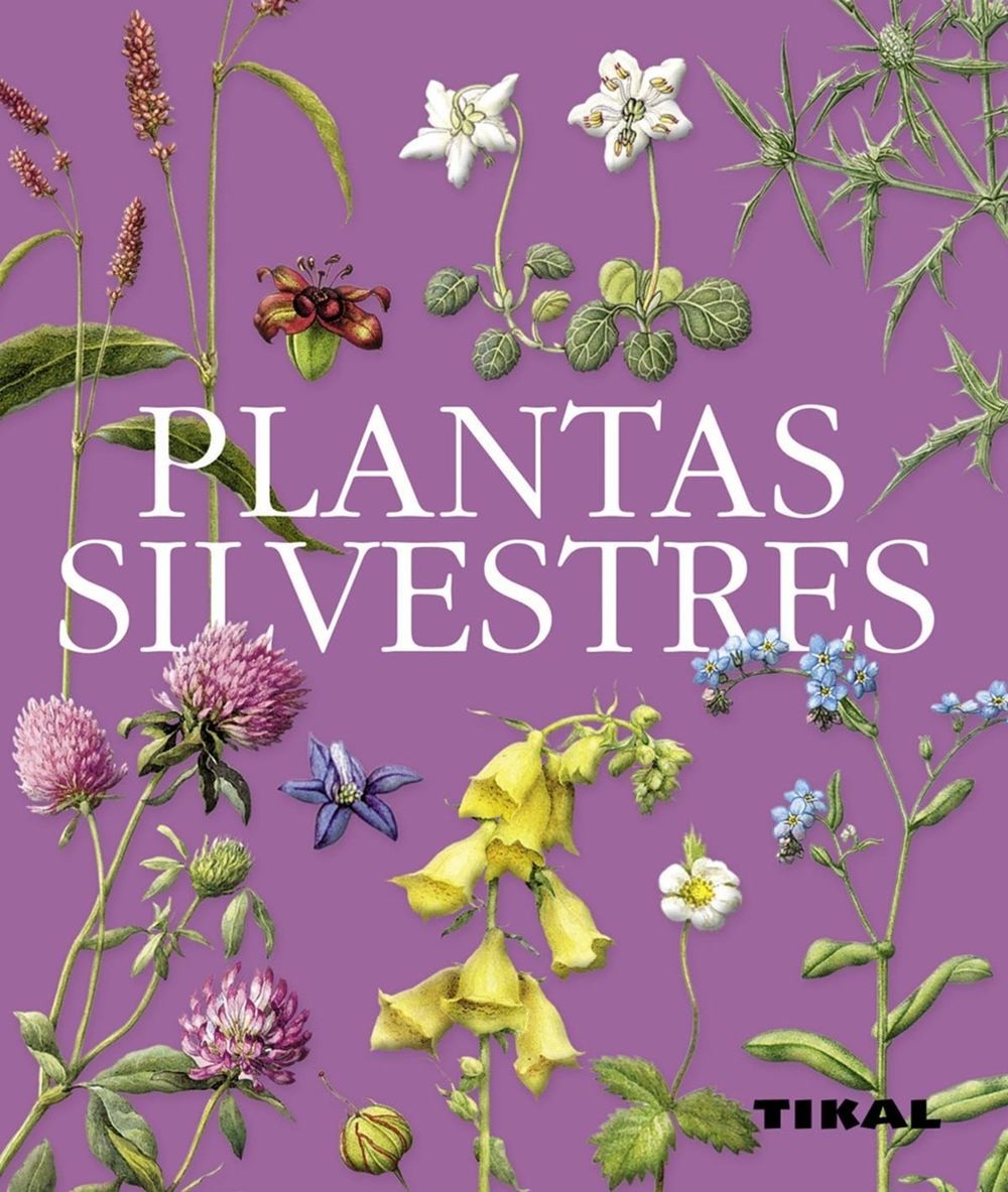 La Casa de las Setas Plantas silvestres (Pequeña Biblioteca)