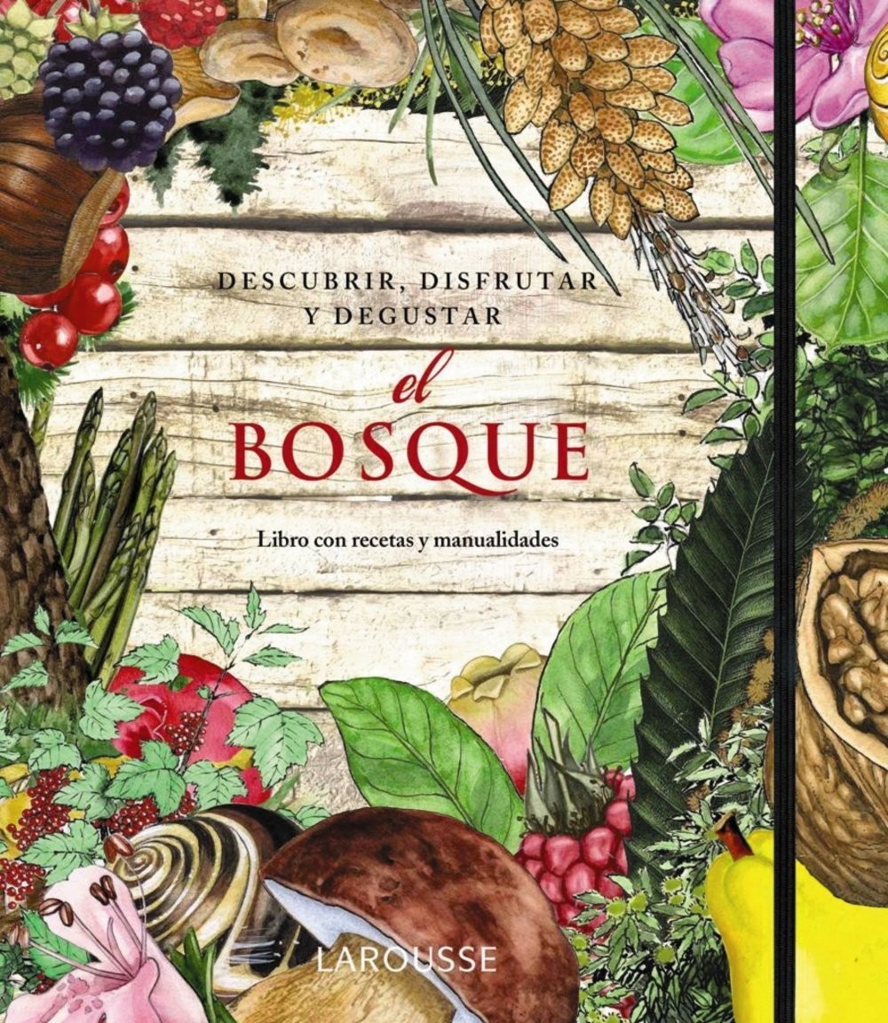 La Casa de las Setas El Bosque. Descubrir, disfrutar y degustar